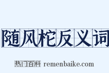随风柁反义词是什么意思的图片